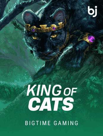 King of Catspng game thumbnail